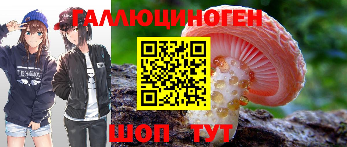 Псилоцибиновые грибы GOLDEN TEACHER  Вход с VPN  Назрань 