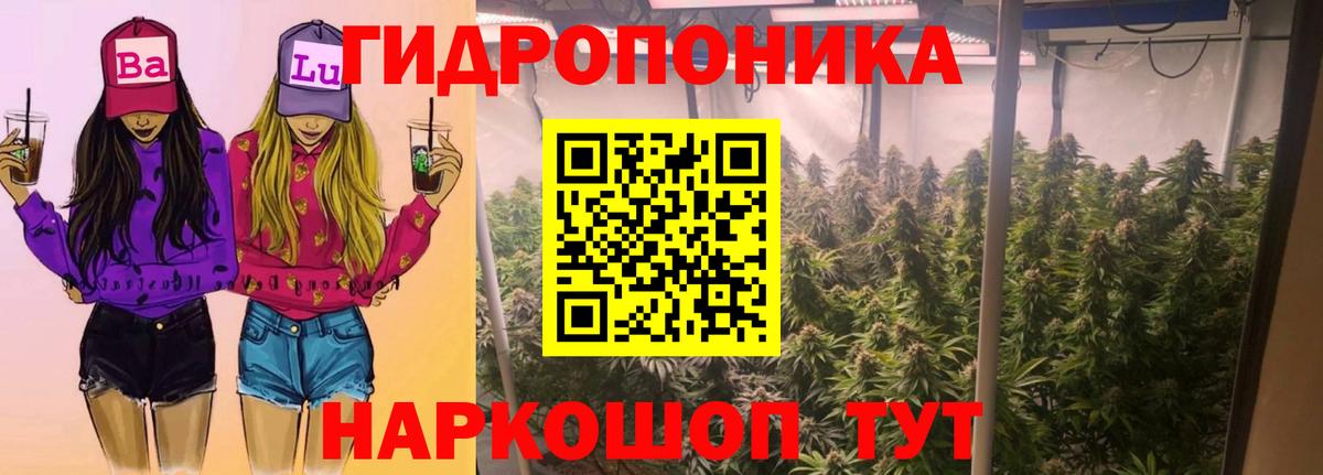 Бошки марихуана гибрид Назрань