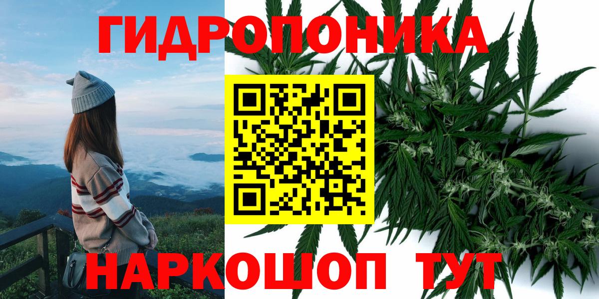 Назрань  Бошки Шишки тримм  Конопля марихуана  Вход с VPN 